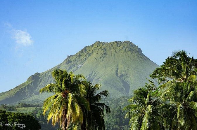 V.I.P Green escape 2-Zoo de Martinique - Final Thoughts