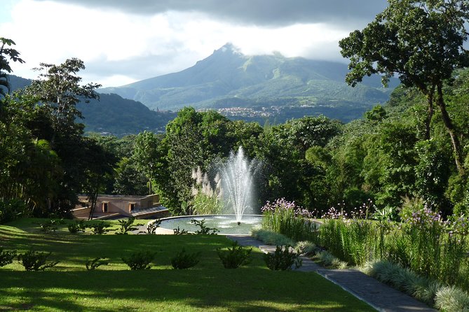 North Tour: rainforest, rum distillery, black sand beach etc - Practical Considerations and Tips