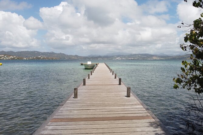 Day trip at sea to the Fonds Blancs Martinique Windward Coast - Experience the Atlantic Coast of Martinique on a Day Trip at Sea