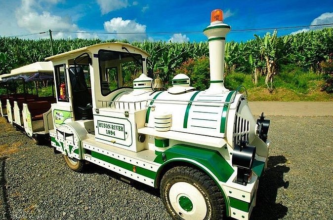 Small train tour of a banana farm in Martinique - The overall value and experience