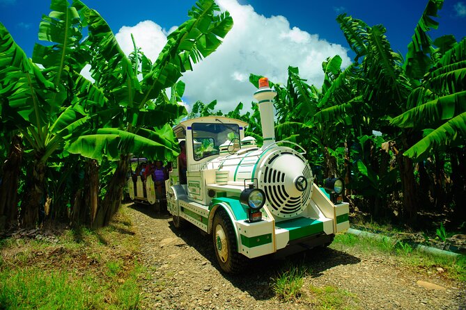 Small train tour of a banana farm in Martinique - Key Points