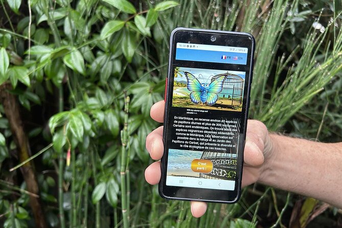 Visit Fort-DE-France with a fun and original track game! - Discover Fort-de-France Through a Fun and Engaging Track Game