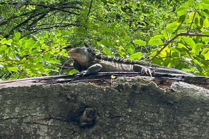 Bathtub of Josephine and Islands Half day Boat trip - Who Is This Tour Best For?