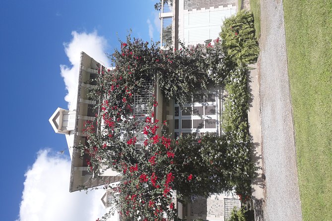 Martinique North Island Private Tour - Why This Tour Works Well