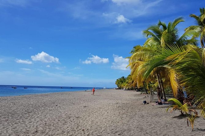 Martinique North Island Private Tour - Who Should Book This Tour?