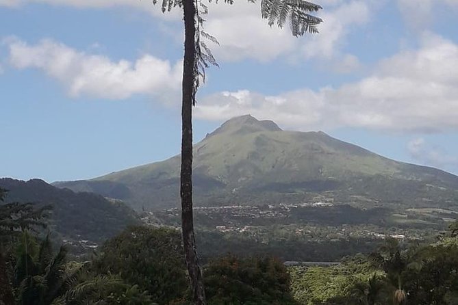 Martinique North Island Private Tour - Final Thoughts