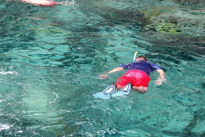 Martinique : Anse Coralienne & Tortues - Transportation, Group Size, and Cost