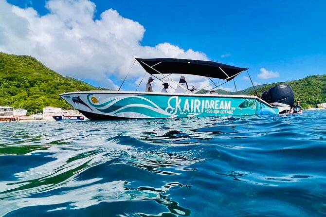 Martinique : Anse Coralienne & Tortues - Overall Value and Who It Suits Best