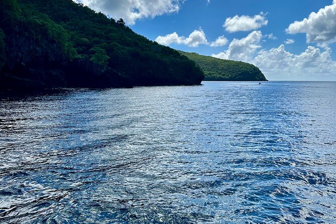 Martinique : Anse Coralienne & Tortues - The Sum Up: Is It Worth It?