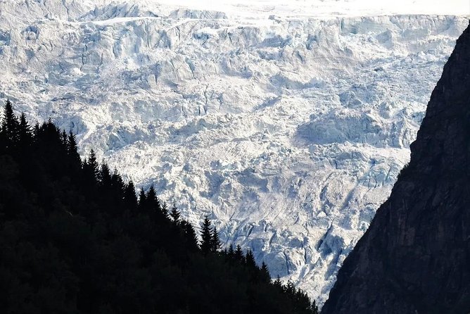 Fjord & Glacier Tour - From VOSS - A Detailed Look at the Fjord & Glacier Tour from Voss