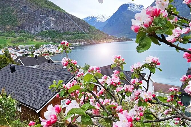 Private Guided Tour to Oslo Nærøyfjord Cruise and Flåm Railway - FAQs