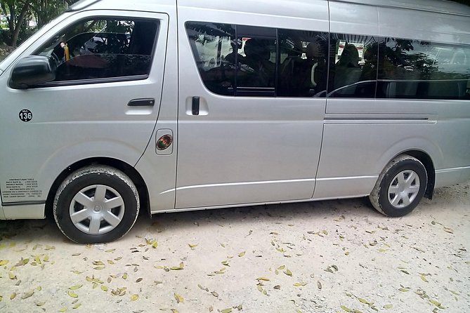 Montego Bay Shore Excursion: Private Custom Sightseeing Tour - Exploring the Details of Your Private Jamaican Adventure