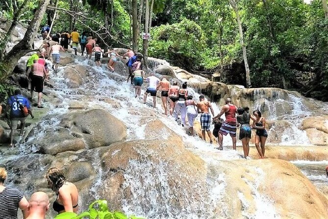Dunn's River Falls, shopping and lunch - The Sum Up: Who Will Love This Tour?