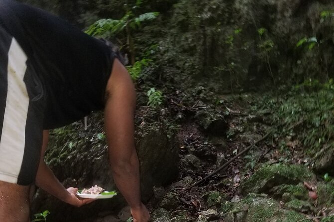 Quashie River Hiking in Cockpit Country Experience - Who’s This Tour Best For?