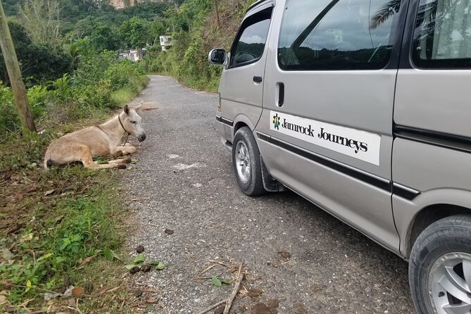 Quashie River Hiking in Cockpit Country Experience - The Sum Up: Is It Worth It?