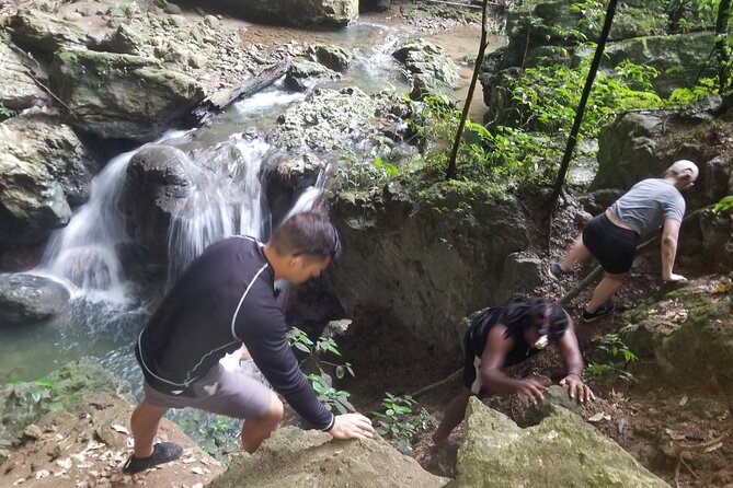 Quashie River Hiking in Cockpit Country Experience - Key Points