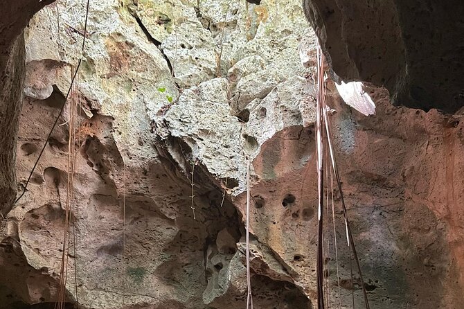 Explore the Enchanting Mysteries of Green Grotto Cave - Who Should Consider This Tour?