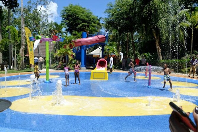 Dunn's River Falls and Ocho Rios Shopping Tour from Montego Bay Hotels - The Experience in Detail