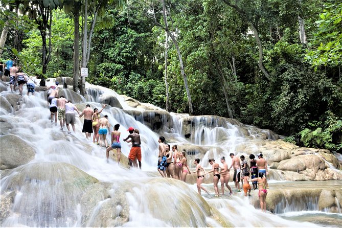 Dunn's River Falls and Ocho Rios Shopping Tour from Montego Bay Hotels - Key Points