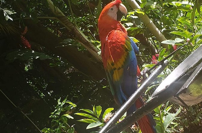 Rockland Bird Sanctuary Tour [Transportation] Hotel Pick-Up - FAQ