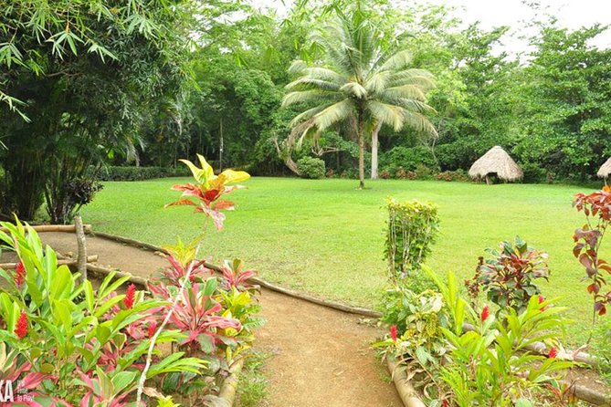 Mayfield Falls Private Tour - What the Reviews Say