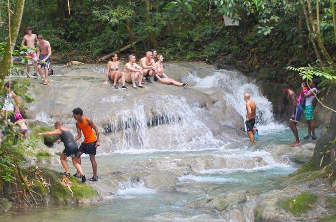 Mayfield Falls Private Tour - The Sum Up