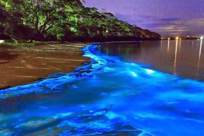 Mesmerizing Luminous Lagoon (Glistening Waters) Night Tour - Discovering the Luminous Lagoon Night Tour: An Enchanting Night in Jamaica