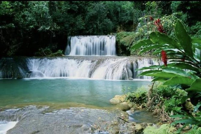 YS Falls and Appleton Estate Private Rum Tour - Final Thoughts