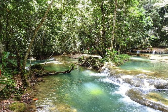 YS Falls and Appleton Estate Private Rum Tour - Who Is This Tour Best For?