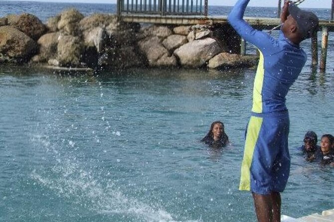 Private Dolphin Cove Adventure - FAQs