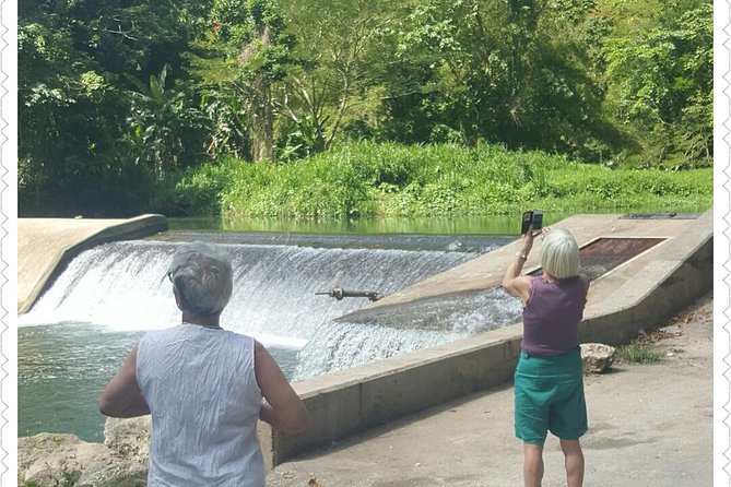 Montego bay Delights Highlight Tour - A Deep Dive into the Montego Bay Delights Highlight Tour