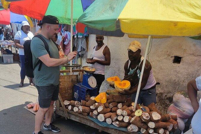 Montego bay Delights Highlight Tour - Key Points