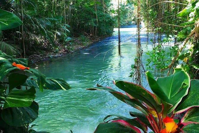 Martha Brae Rafting Adventure - Cost, Value, and Extras