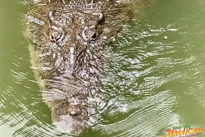 [PRIVATE] YS Falls, Black River, Pelican Bar - Entrance & Lunch - FAQs