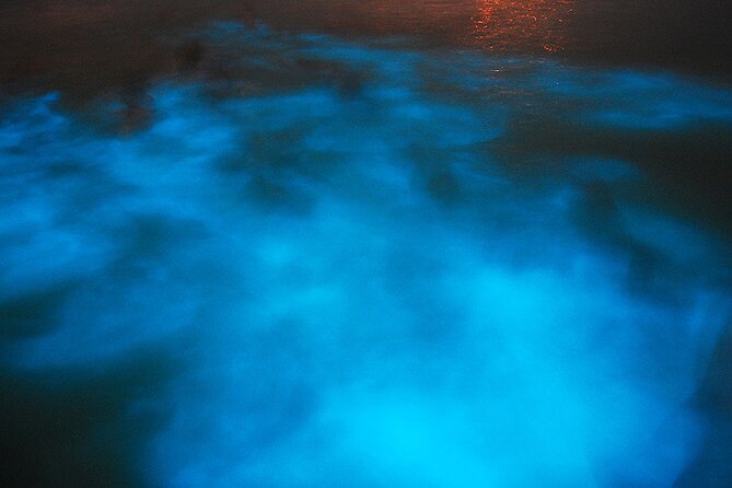 Luminous Lagoon Night Cruise From Montego Bay - Exploring the Experience in Detail