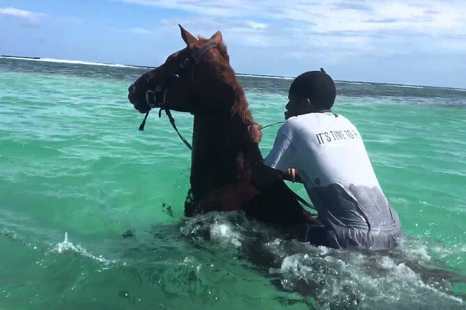 Martha Brae Rafting, Horseback Riding and Luminous Lagoon - Triple Treat - Key Points