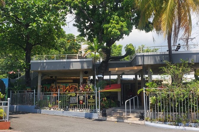 Private Kingston and Bob Marley Museum Tour from Falmouth - Practical Details and Considerations