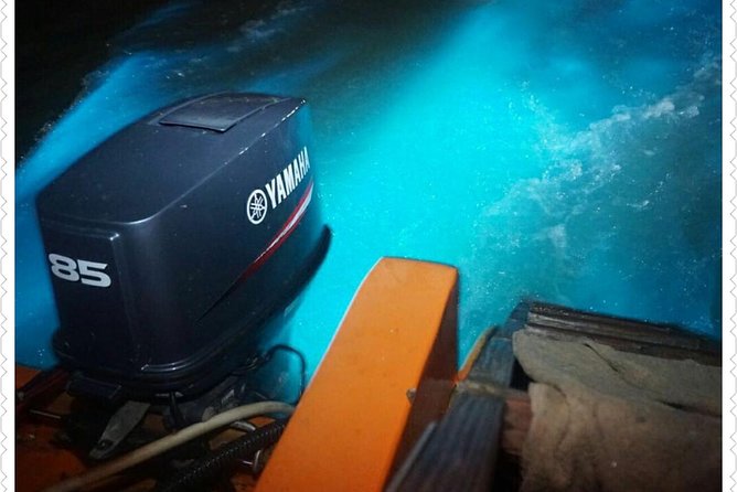 Luminous Lagoon Tour - A Closer Look at the Luminous Lagoon Tour