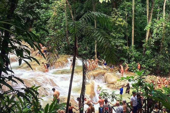 Dunn's River Falls & Blue Hole Tour from Montego Bay - The Experience: What You’ll See and Do
