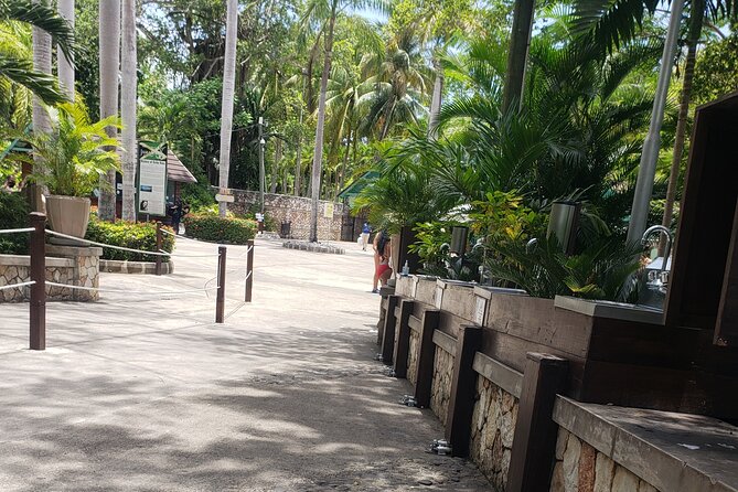 Dunn's River Falls & Blue Hole Tour from Montego Bay - The Logistics and What It Means for You