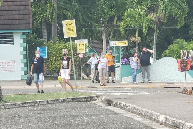 Dunn's River Falls & Blue Hole Tour from Montego Bay - Who Will Enjoy This Tour?