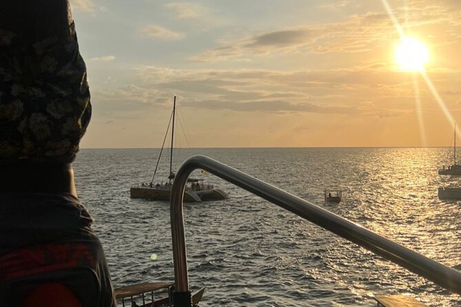 Montego bay Bamboo Rafting & Sunset at Ricks cafe Negril - Who Will Love This Tour?