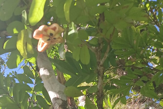 Lethe Mountain Valley Hiking - Wrapping Up