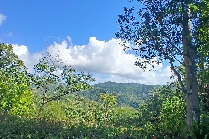 Lethe Mountain Valley Hiking - Exploring Lethe Mountain Valley Hiking in Montego Bay