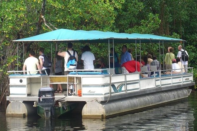 Private Appleton YS Falls and Black River Tour from Montego Bay - What’s Included and What You Should Consider