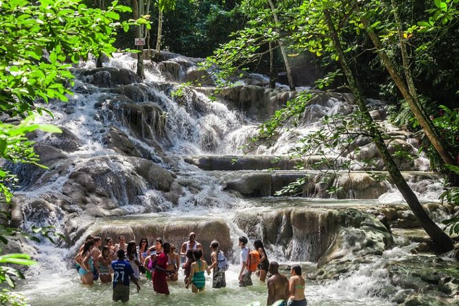 Dunn's River Falls plus Luminous Lagoon (Glistening Water)Private Tour - An In-Depth Look at the Tour Experience