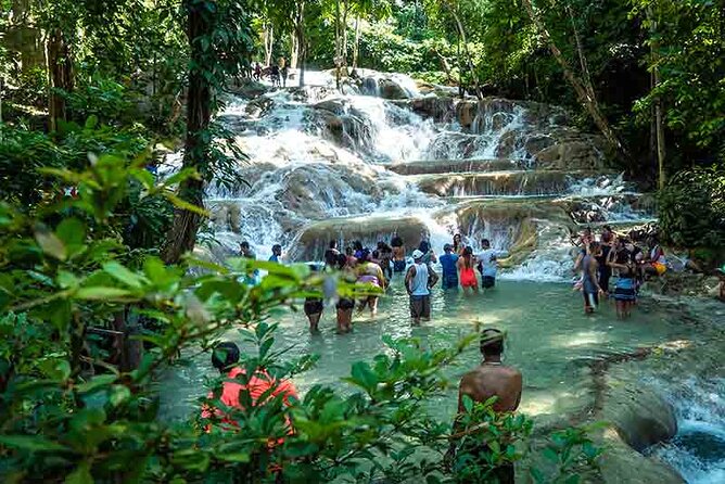 Dunn's River Falls plus Luminous Lagoon (Glistening Water)Private Tour - An Authentic Jamaican Adventure: Dunn’s River Falls plus Glistening Lagoon Private Tour