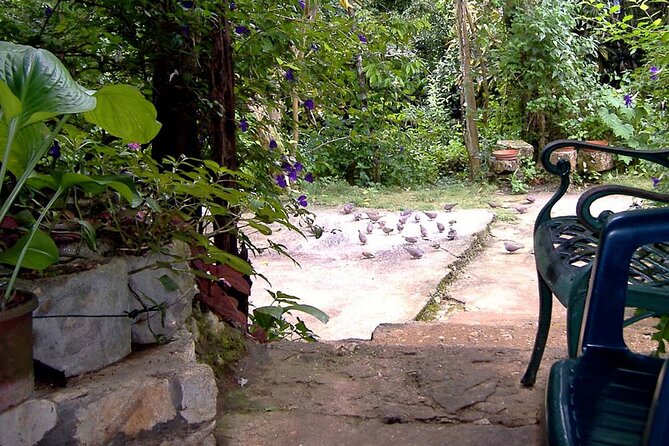 Rockland Bird Sanctuary plus Montego Bay Highlights & Shopping Private Tour - Price and Value Assessment