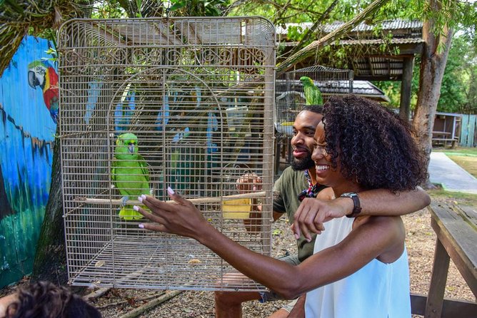 Rockland Bird Sanctuary plus Montego Bay Highlights & Shopping Private Tour - Key Points