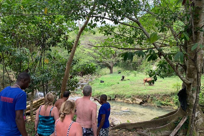 Benta River Falls and Rick's Cafe Day Adventure Tour - Authentic Experiences and Real Traveler Insights